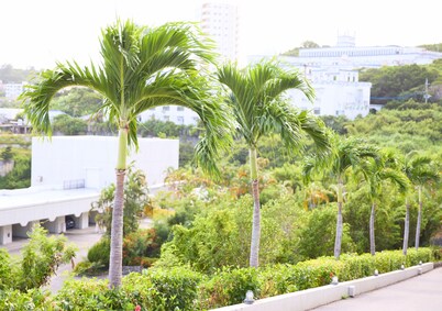 Rycom Family Resort Hotel