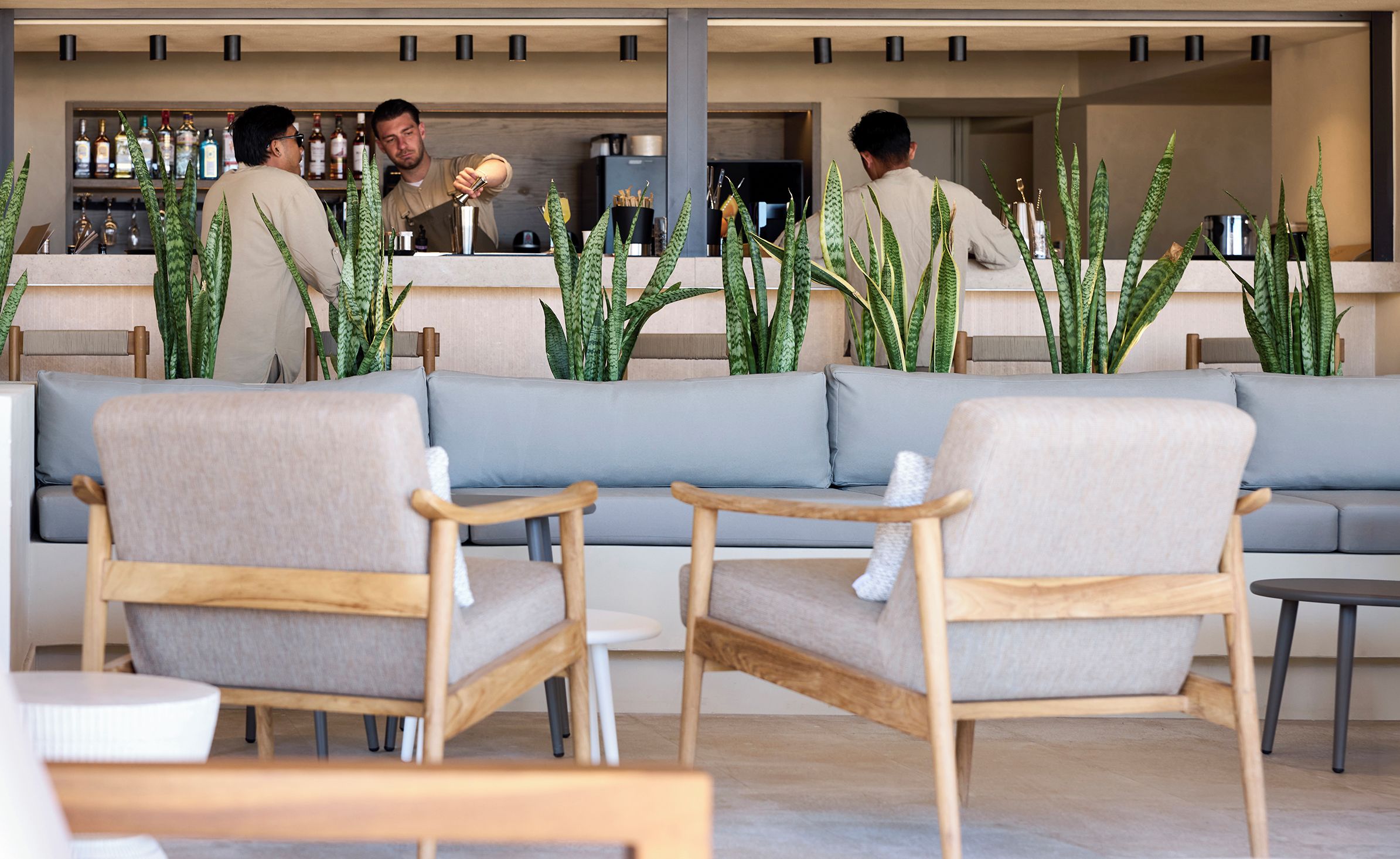 Zona de bar con sofás y sillones, una barra con botellas y plantas verdes.
