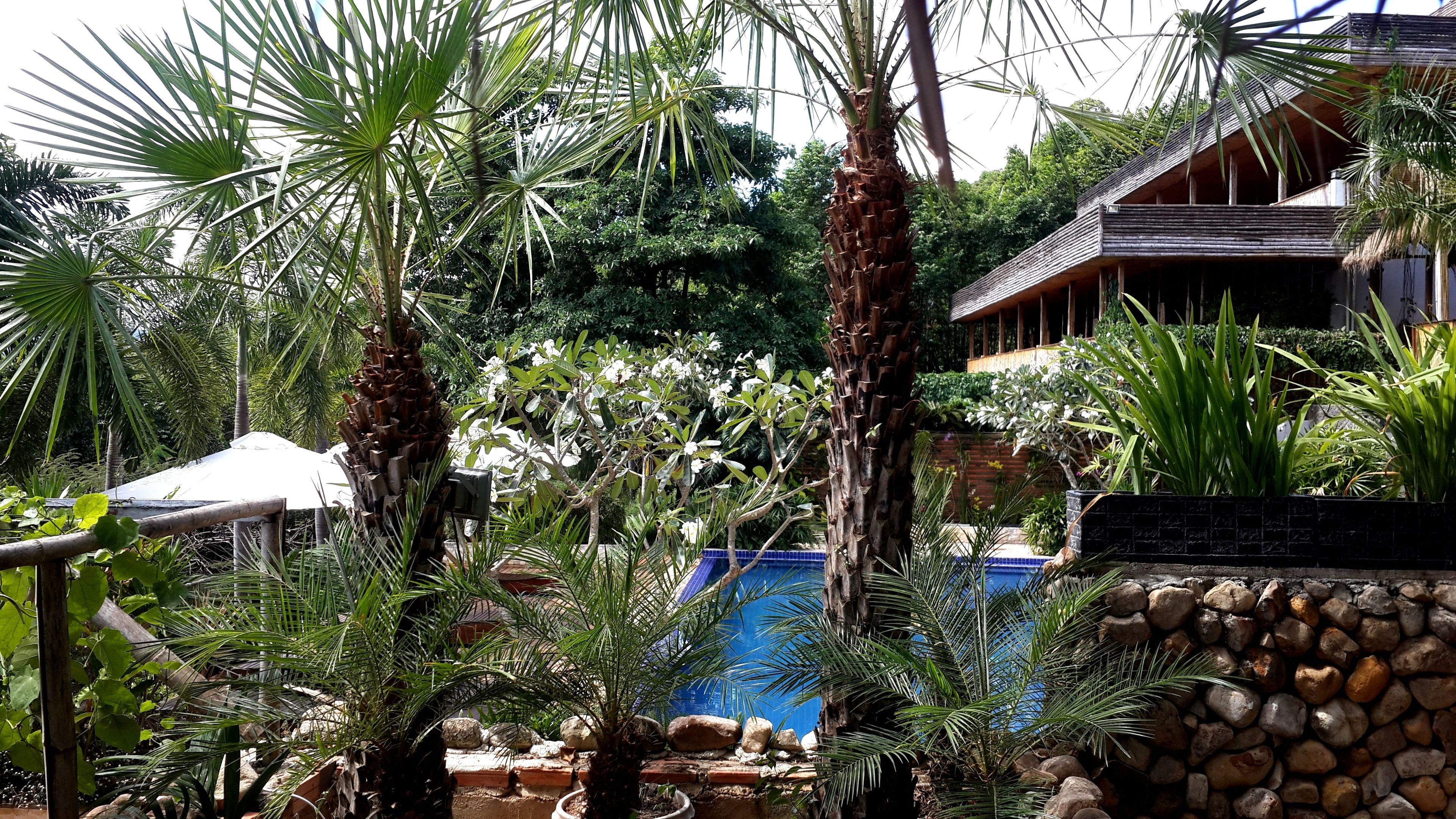 Kolam renang terbuka 