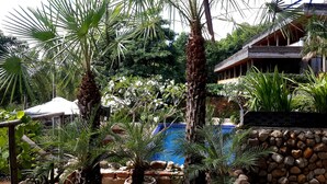 Un jardín tropical con palmeras, un muro de piedra y una piscina azul.