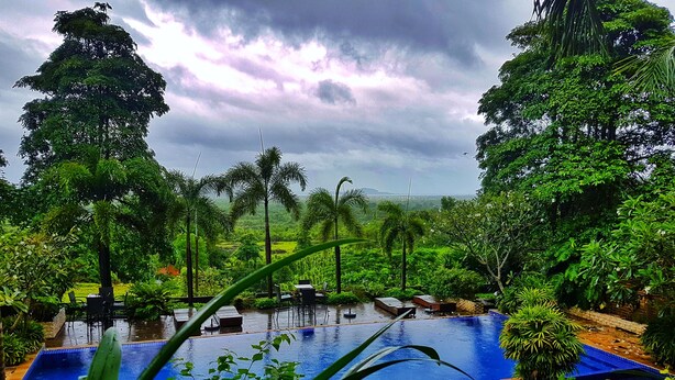 Una piscina rodeada de abundante vegetación y palmeras, con vistas a colinas distantes bajo un cielo nublado.