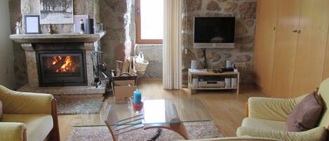 Televisie, een open haard, een dvd-speler en een stereo