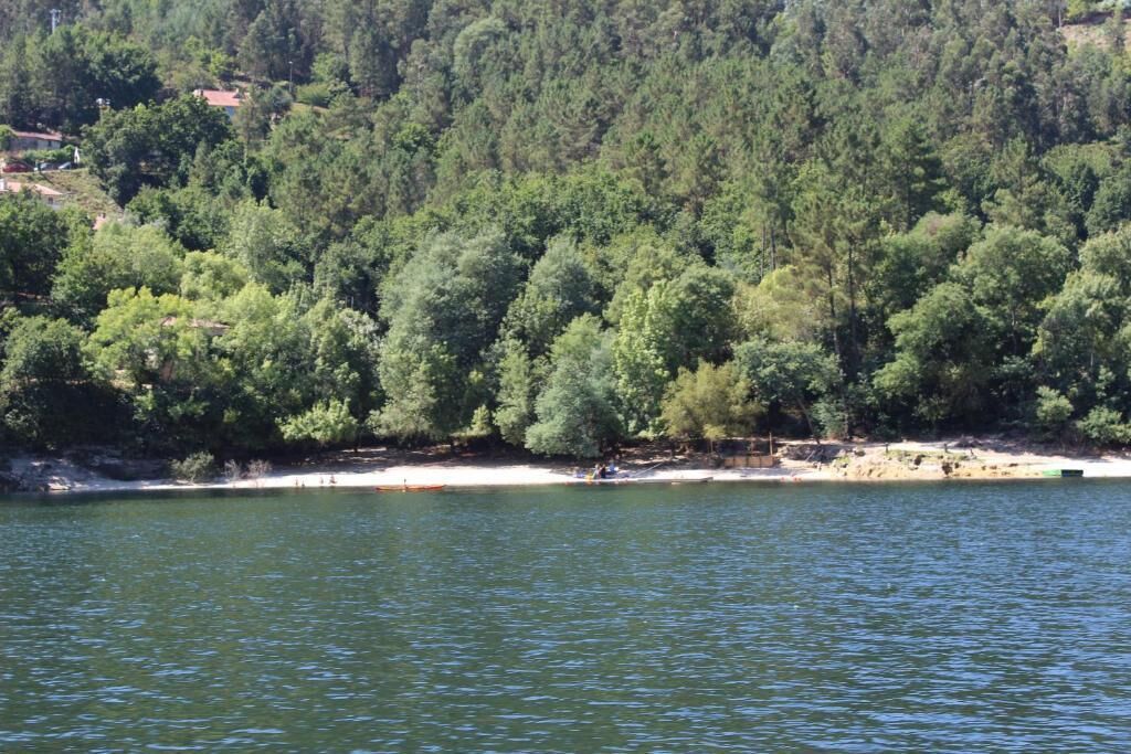 Un lac entouré d’une forêt dense et d’une plage de sable.