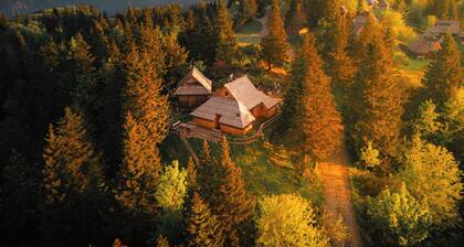 Koca Bistra - Velika planina