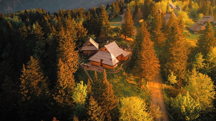 Koca Bistra - Velika planina