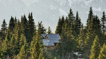 Luxury Chalet (Bistra) | Terrace/patio