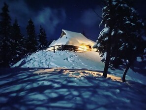 Surrounded by snow-laden trees, this cabin offers a serene winter escape.