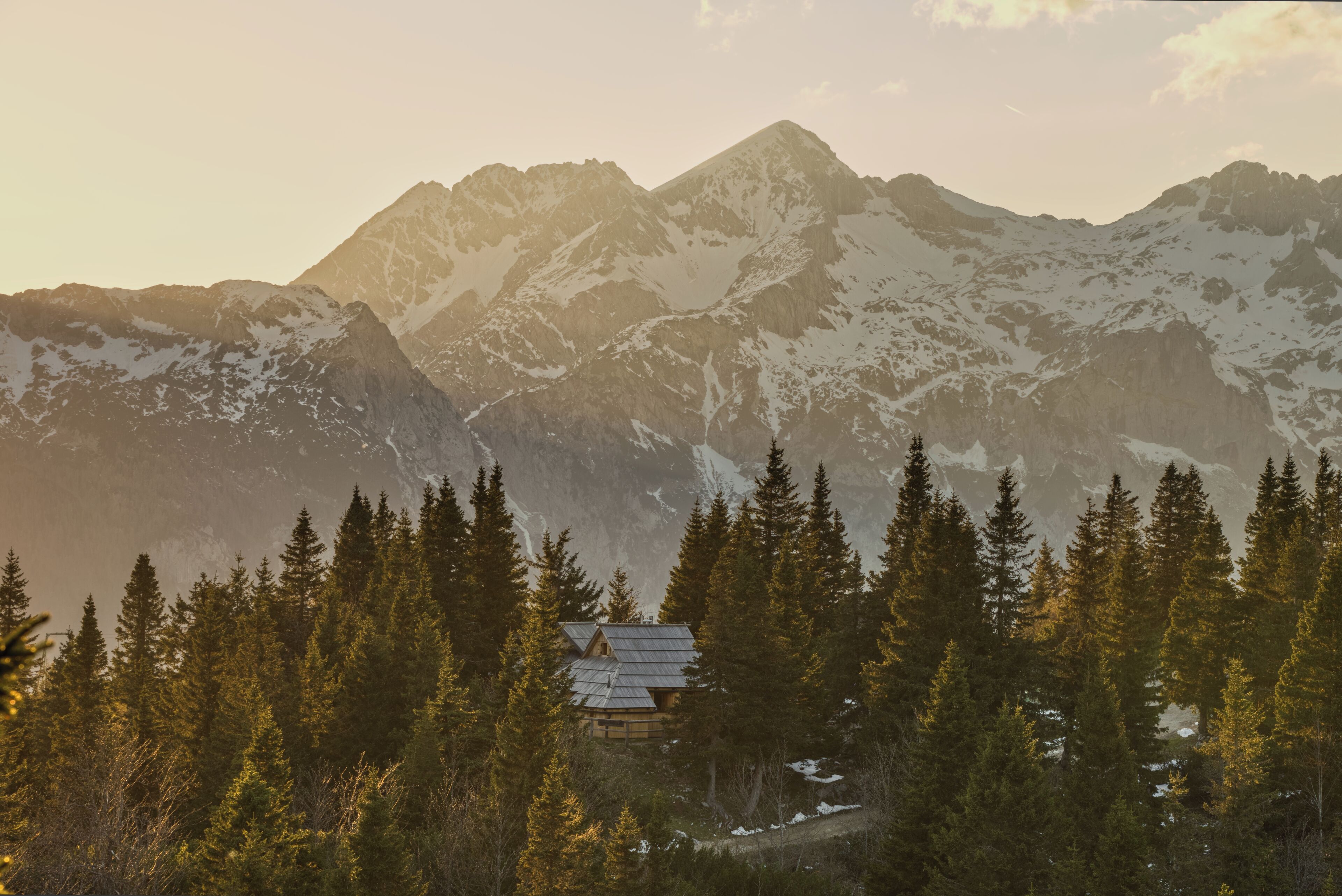 Un chalet de montagne entouré d’une forêt dense et de sommets enneigés.