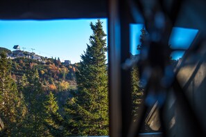 Enjoy breathtaking views of the surrounding forest from this hillside retreat.