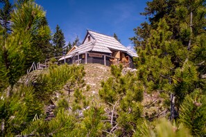 Situated on a hillside, this cabin offers a serene retreat surrounded by dense pine trees.
