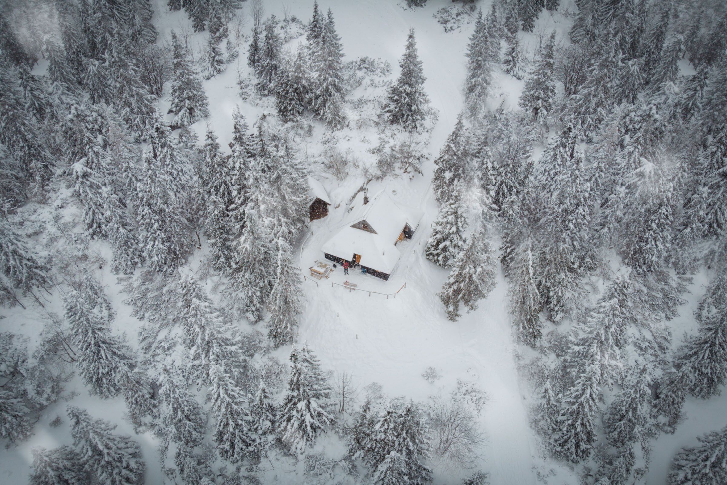 Vue aérienne d’un chalet enneigé, entouré d’une forêt dense.