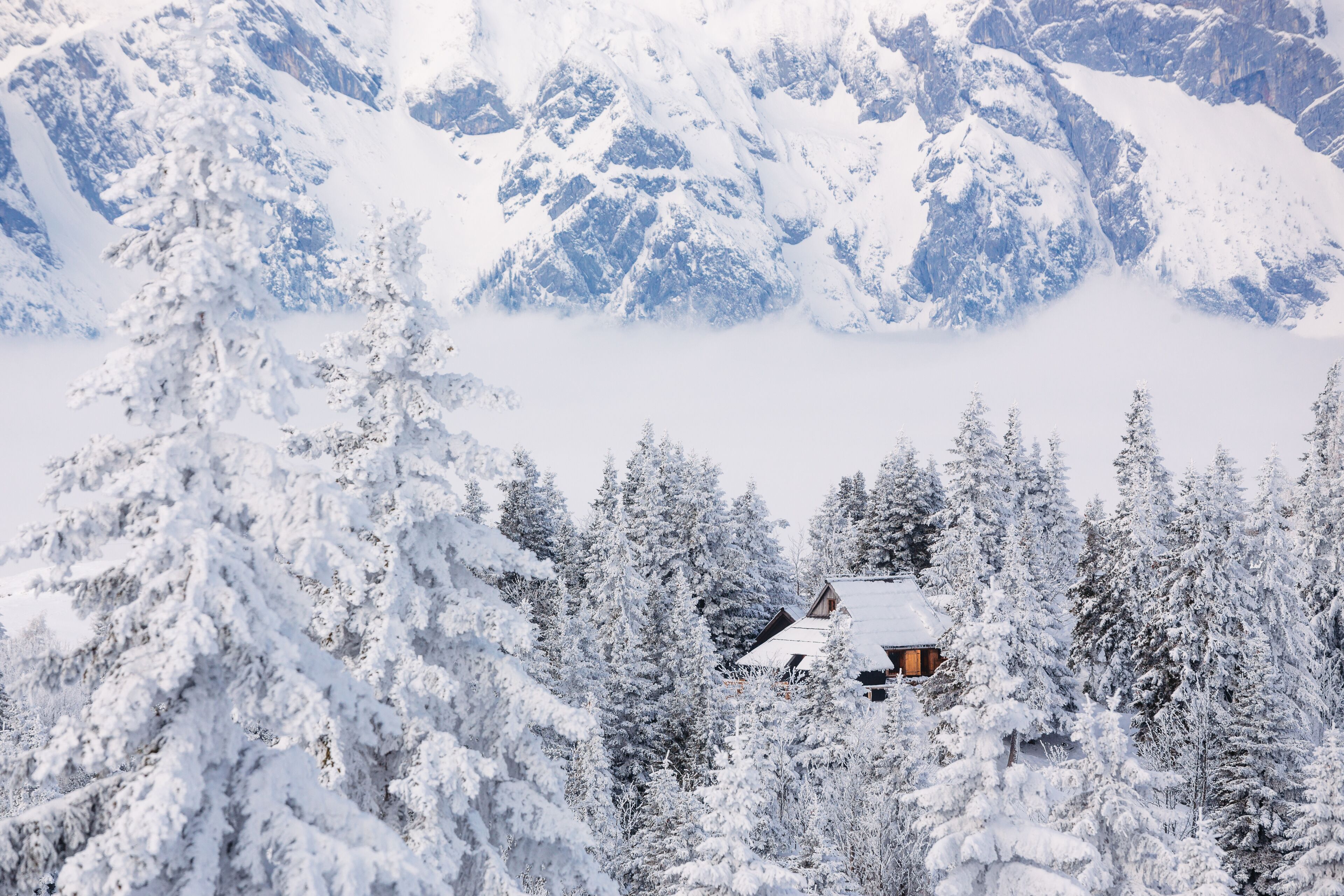 Paisagem nevada de montanha com uma cabana aninhada entre as árvores.