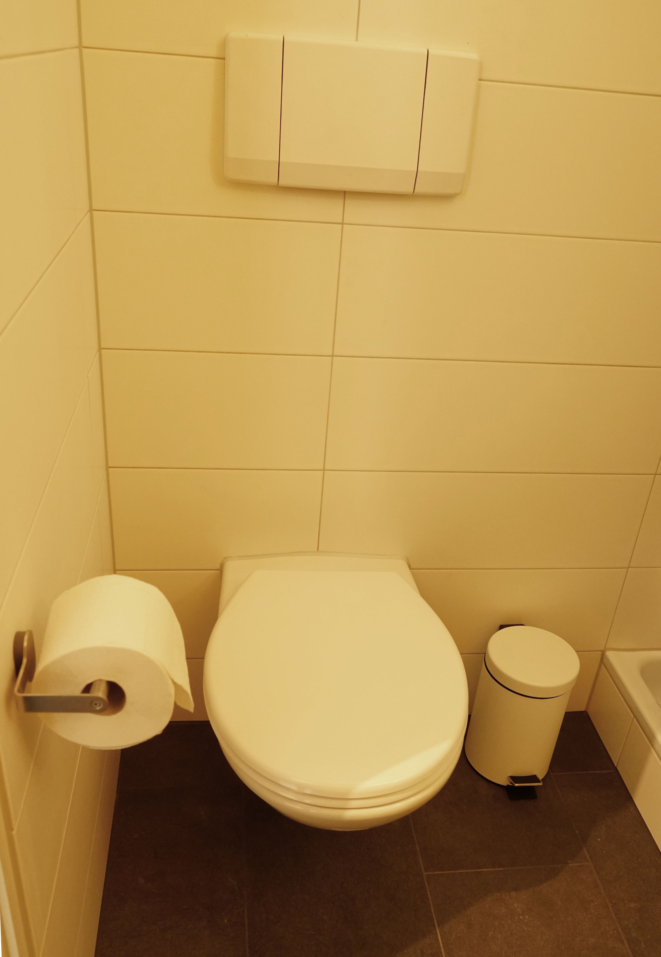 Een kleine, schone badkamer met toilet, prullenbak en toiletrolhouder.