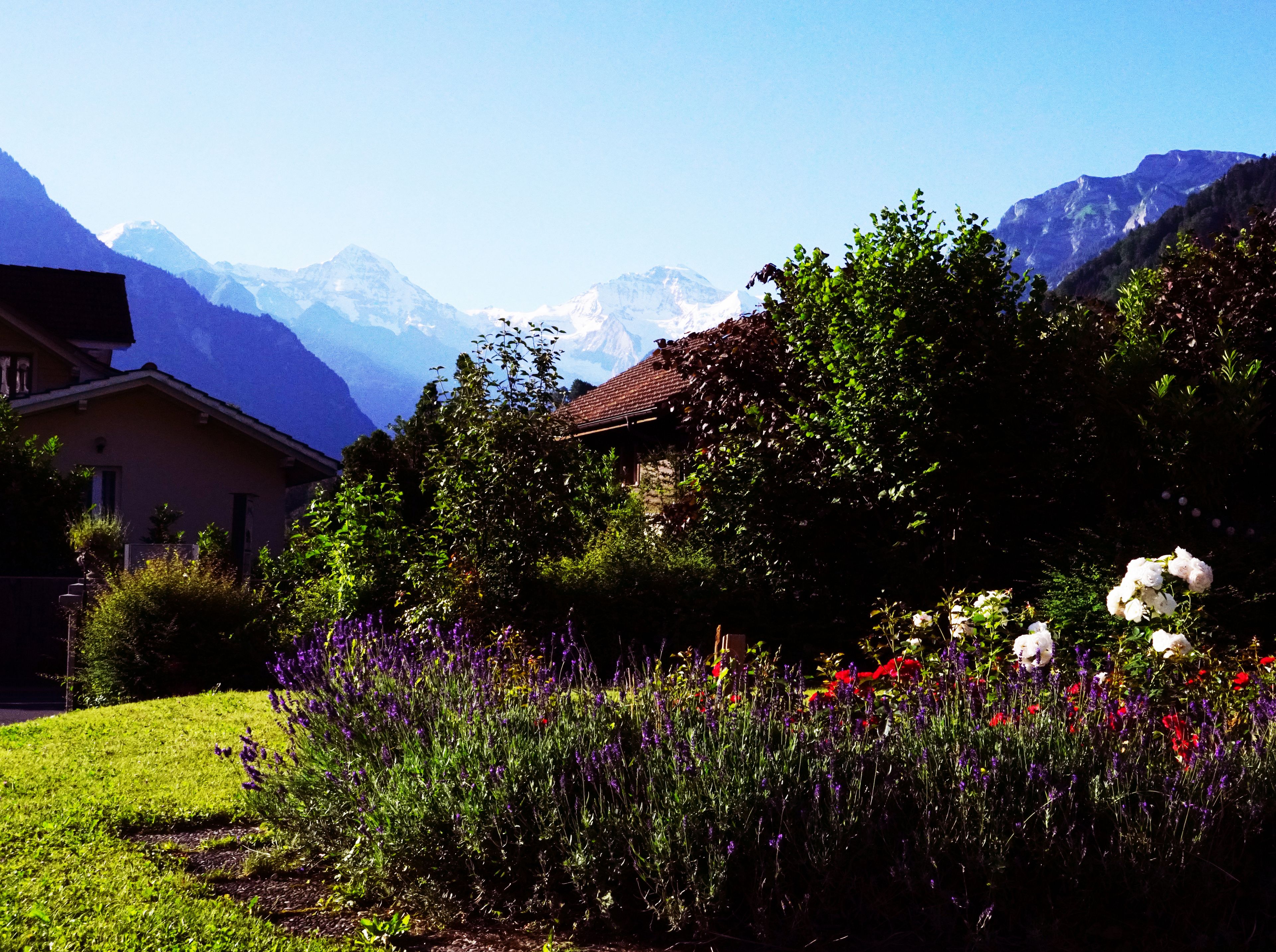 Photo - Adventure Hostel Interlaken
