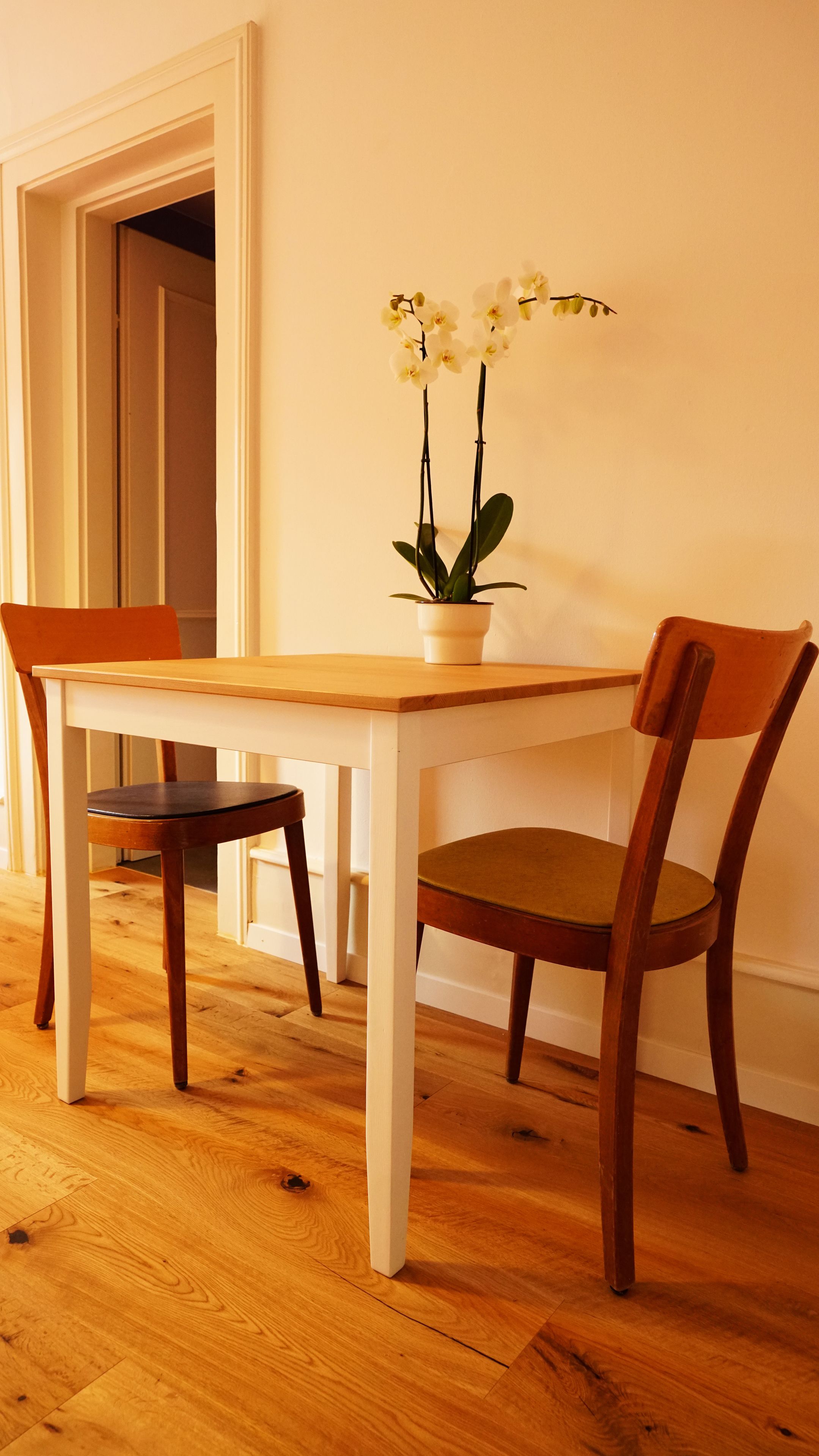 Una mesa de comedor con dos sillas, una orquídea en maceta y piso de madera.