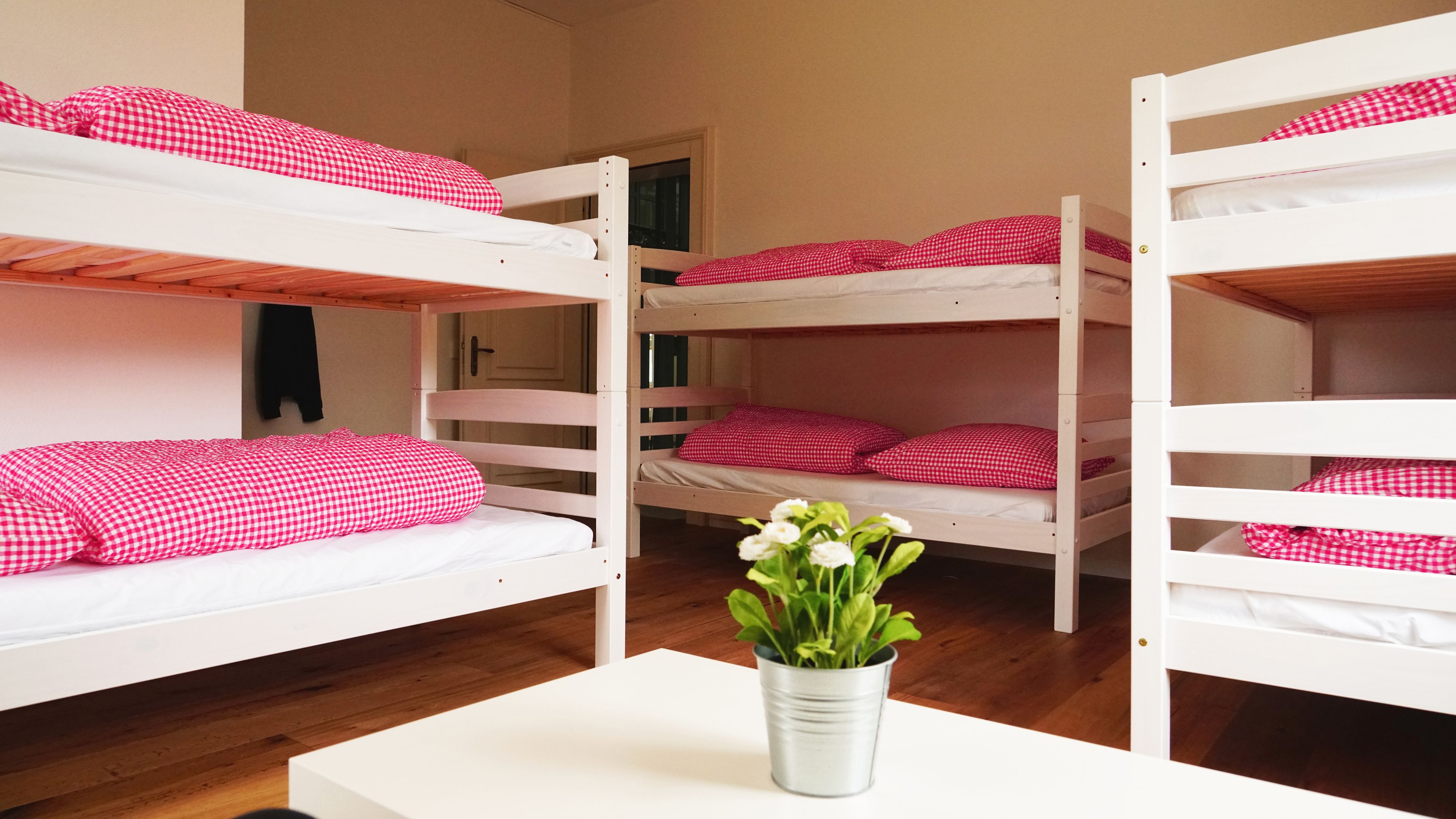 A dormitory room with bunk beds, a white table, and a potted plant.