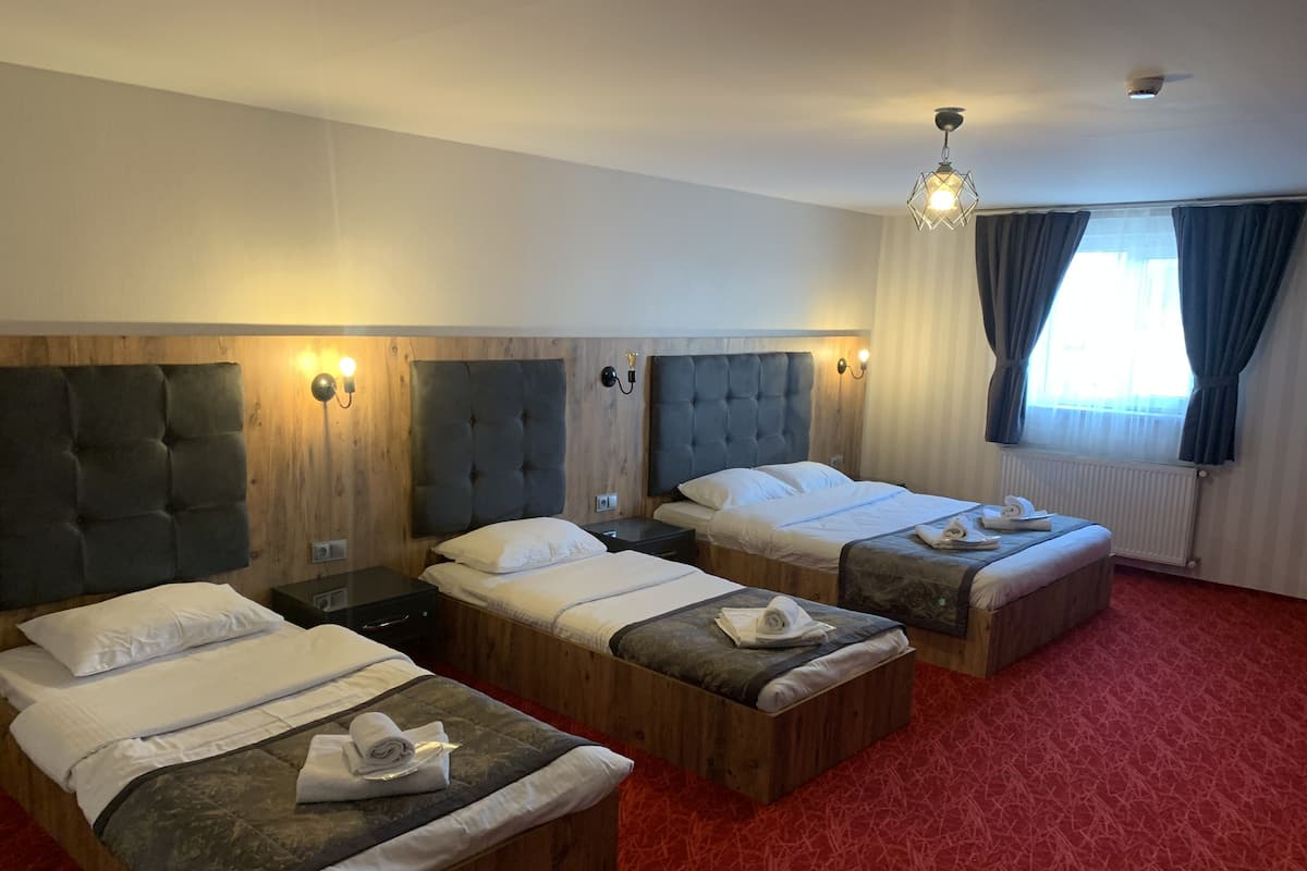 1 bedroom, minibar, desk, iron/ironing board (on request)