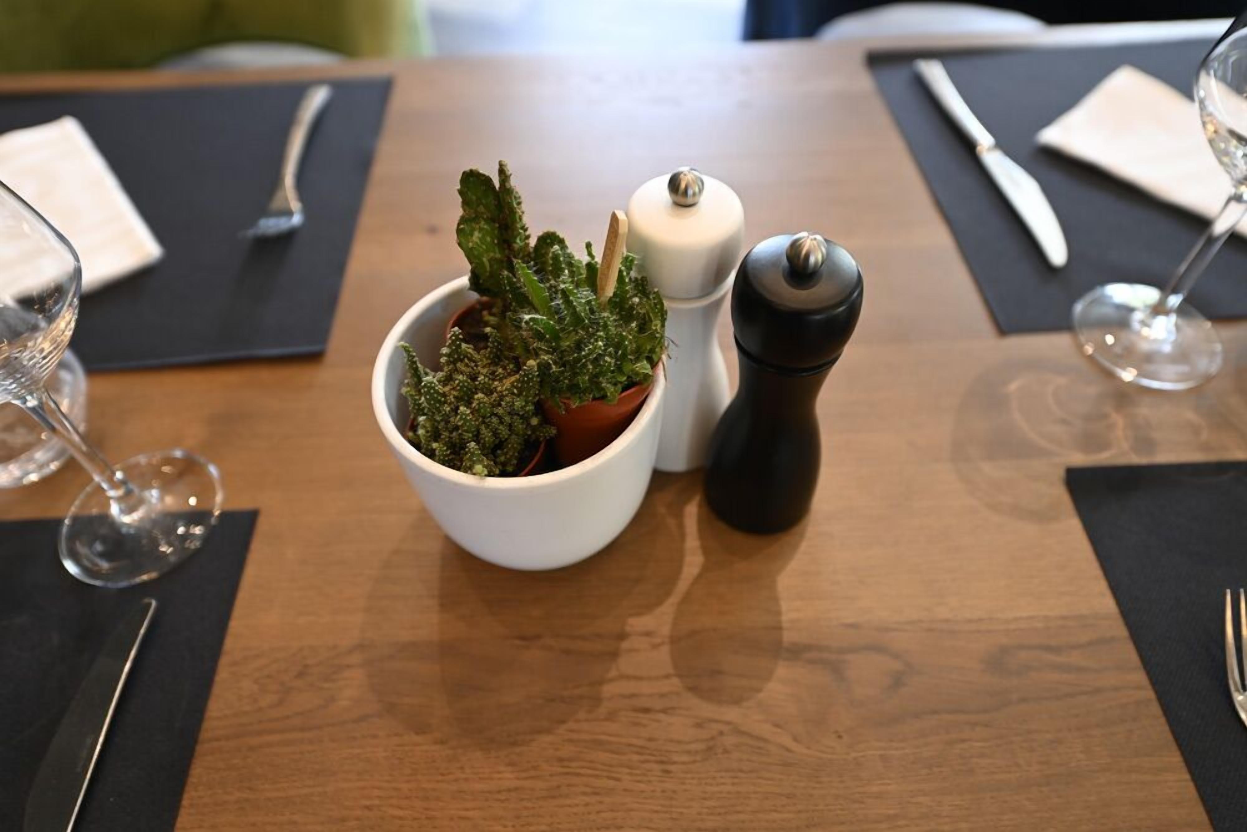 A dining table with a potted plant, a salt and pepper shaker, and a wine glass.
