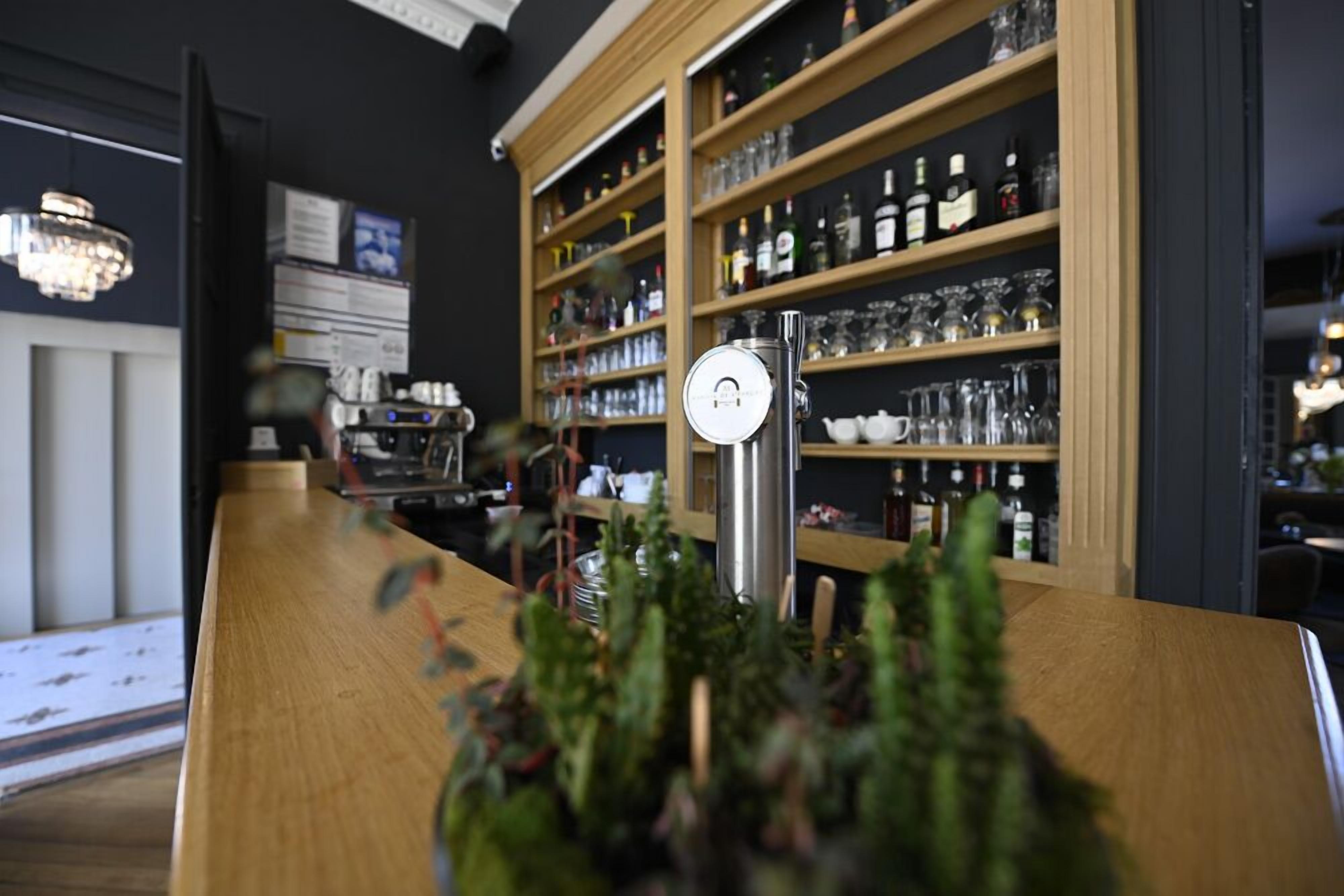 A bar area with wooden shelves stocked with bottles and glasses, a coffee machine, and a decorative plant in the foreground.