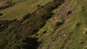 A coastal landscape with rolling hills and a winding road. - The Home Arms Guesthouse (Eyemouth)