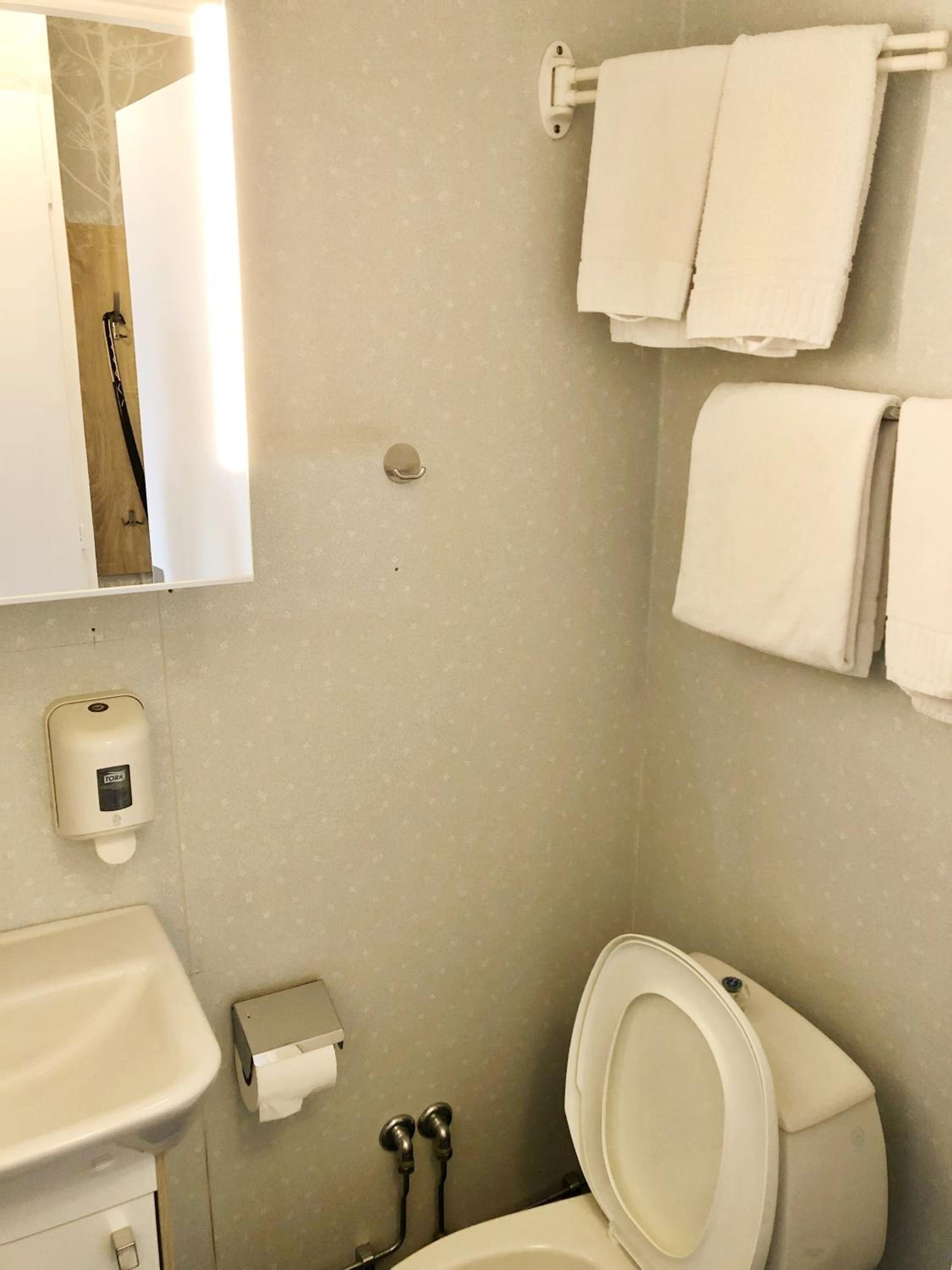 A bathroom with a toilet, sink, and towel rack.