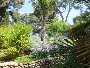A garden with various plants and a stone wall. - Villa in an enclosed 3608 sq ft garden planted with trees (La Ciotat)