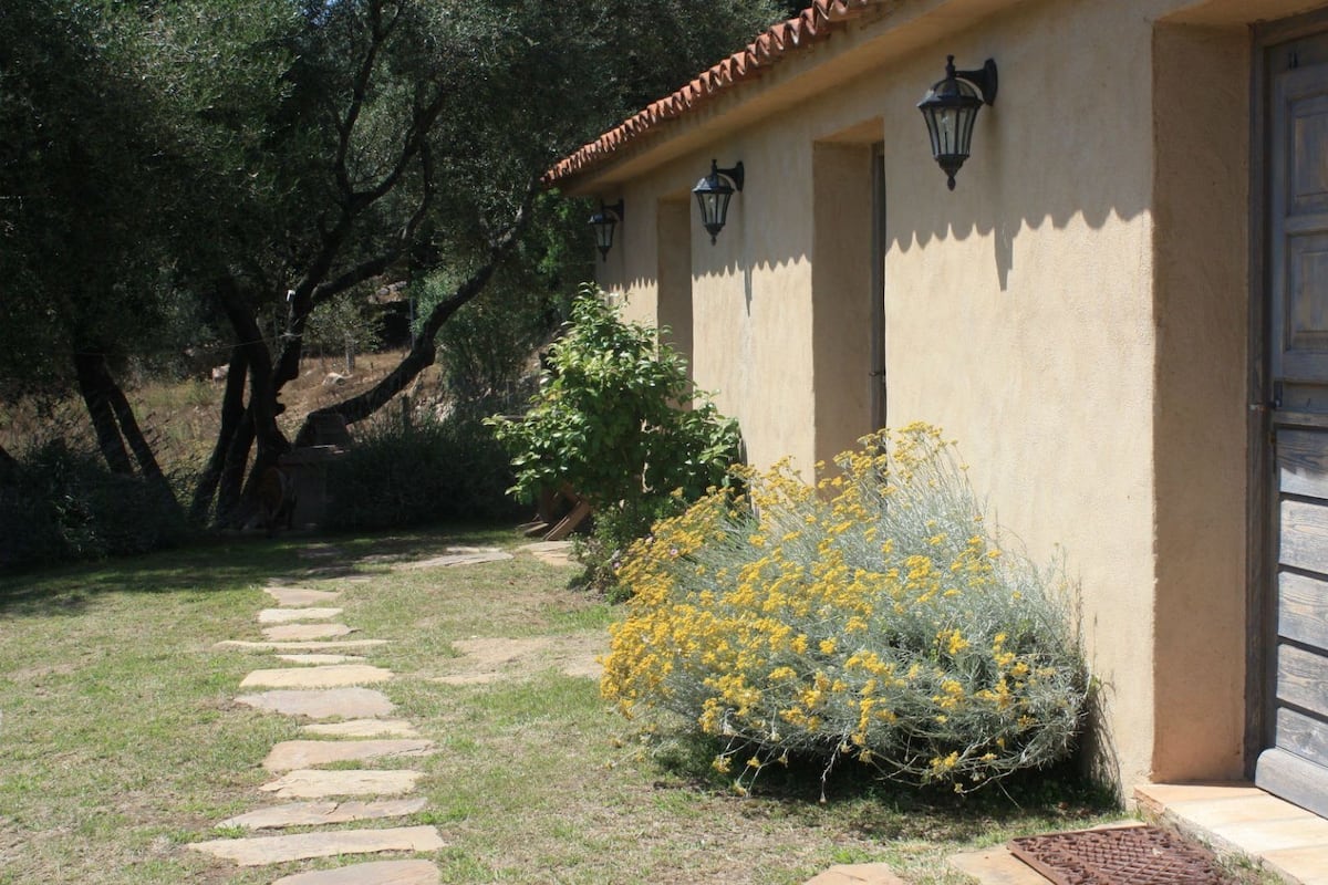 Un bâtiment avec un chemin de pierre menant à une porte, entouré de verdure et de fleurs jaunes.