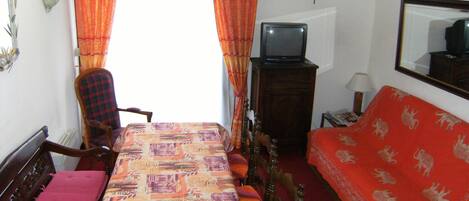 Televisión, chimenea, reproductor de DVD y libros