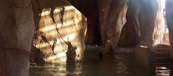 Beautiful DUPLEX (48m2) Balcony, Superb valley view, 100m Ski slopes, classified 2 *