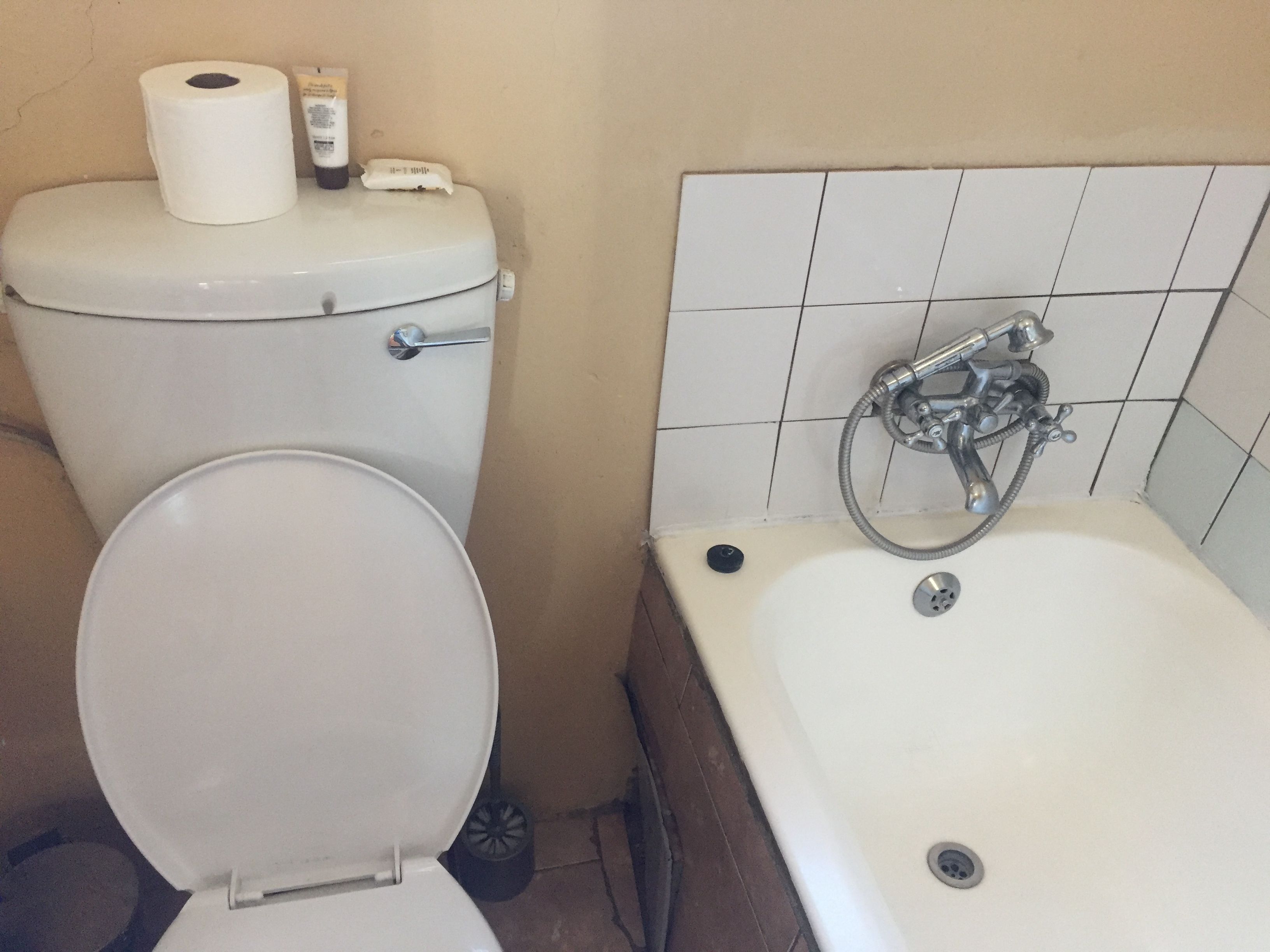 Um banheiro com vaso sanitário, um rolo de papel higiênico, uma garrafa de sabonete líquido para as mãos e uma banheira com chuveiro.