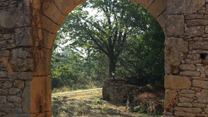 Un arco de piedra que da paso a un entorno natural con árboles y un muro de piedra al fondo.