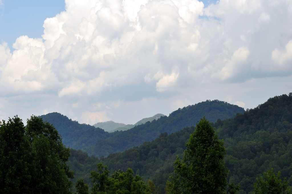 A mountainous landscape with dense forest.