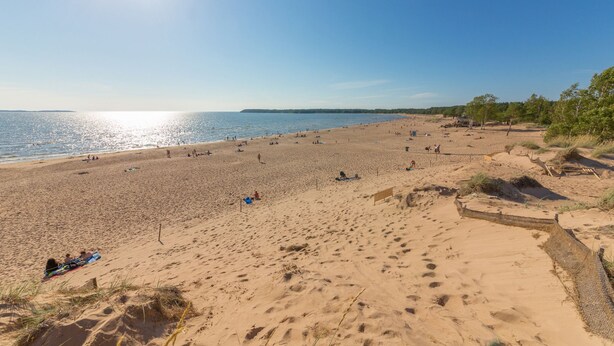 Strand