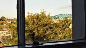 View from room - Spoon and the Stars Hostel (Drogheda)