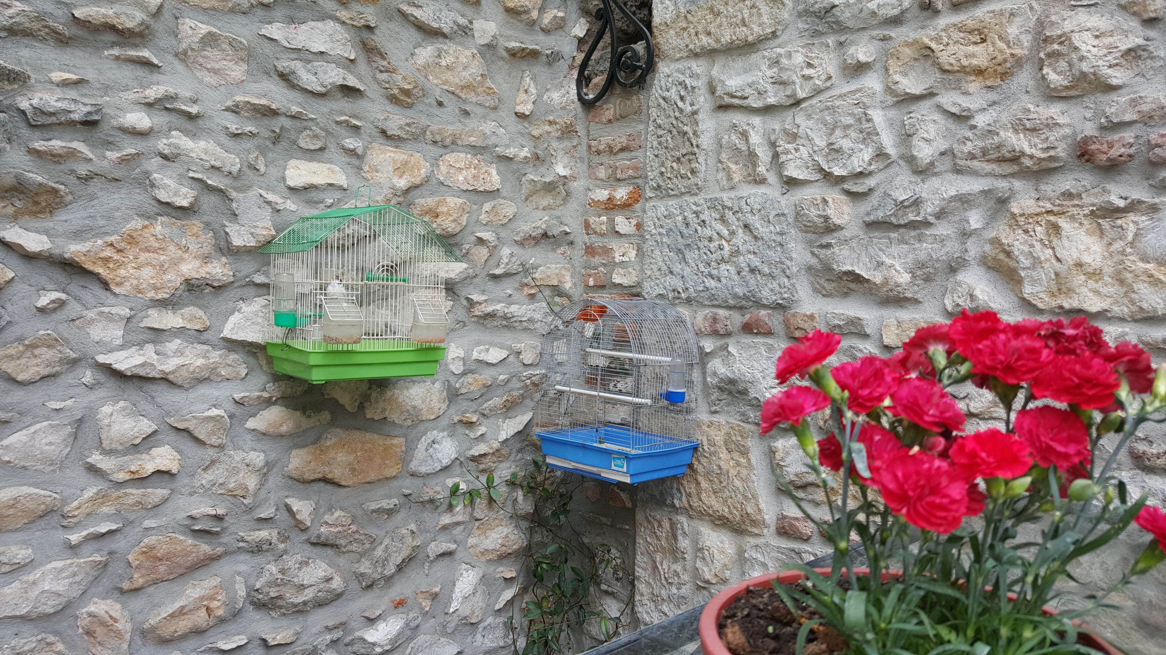 Duas gaiolas de pássaros fixadas numa parede de pedra, com um vaso de plantas com flores vermelhas em primeiro plano.
