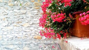 A stone wall with a potted plant of pink flowers. - Vila Trebicka (Korçë)