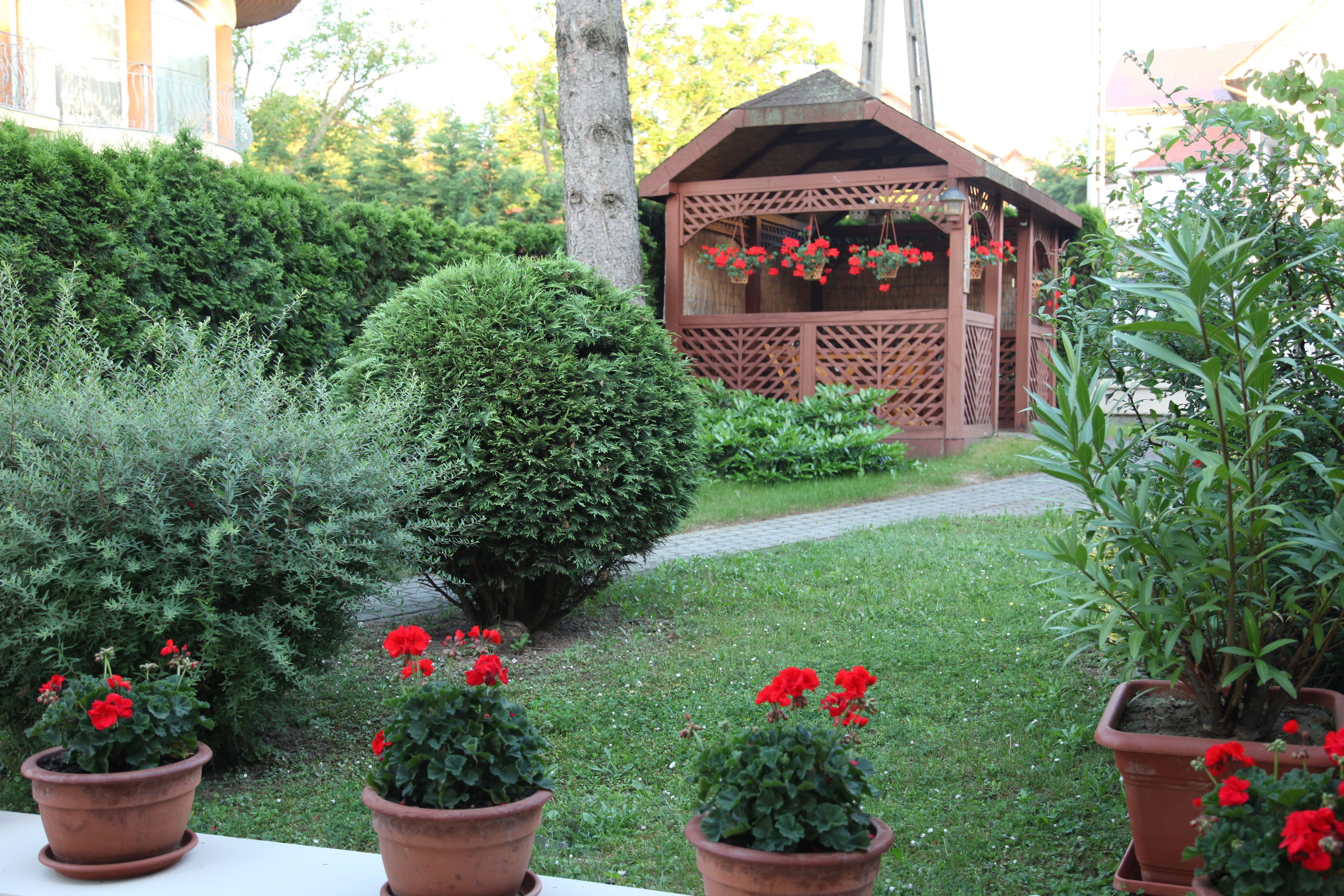 A garden with potted red flowers, a wooden gazebo, and a well-maintained lawn.