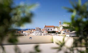 Vista desde la propiedad