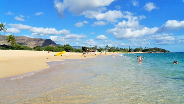 A beach with clear water, palm trees, and a sandy shore. - 5 Bedroom, 6 Bath Home with Private Pool -  Ocean & Mountain Views (Waianae)