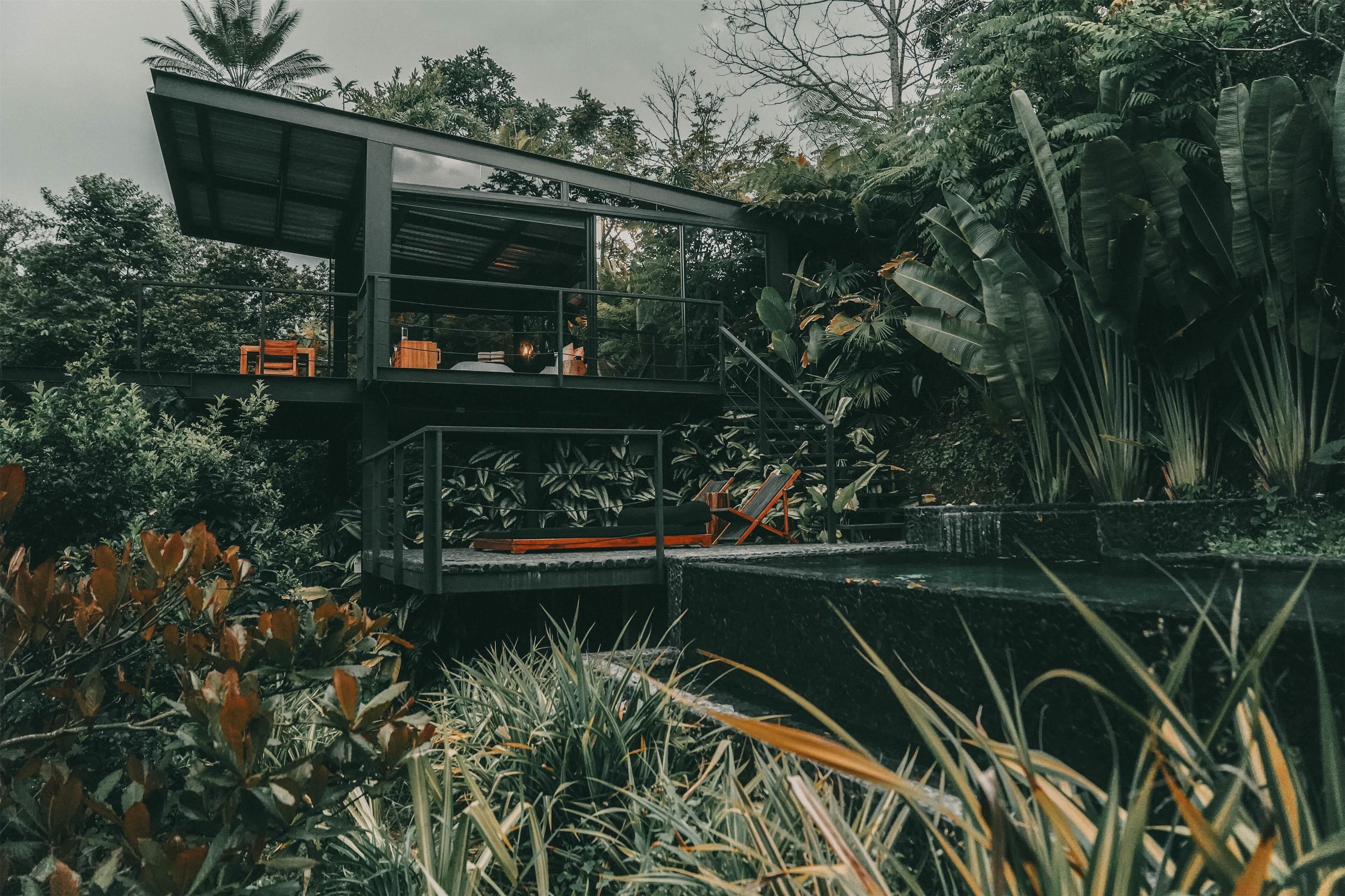 Grand Room (Master Forest View) | Premium bedding, minibar, in-room safe, individually decorated