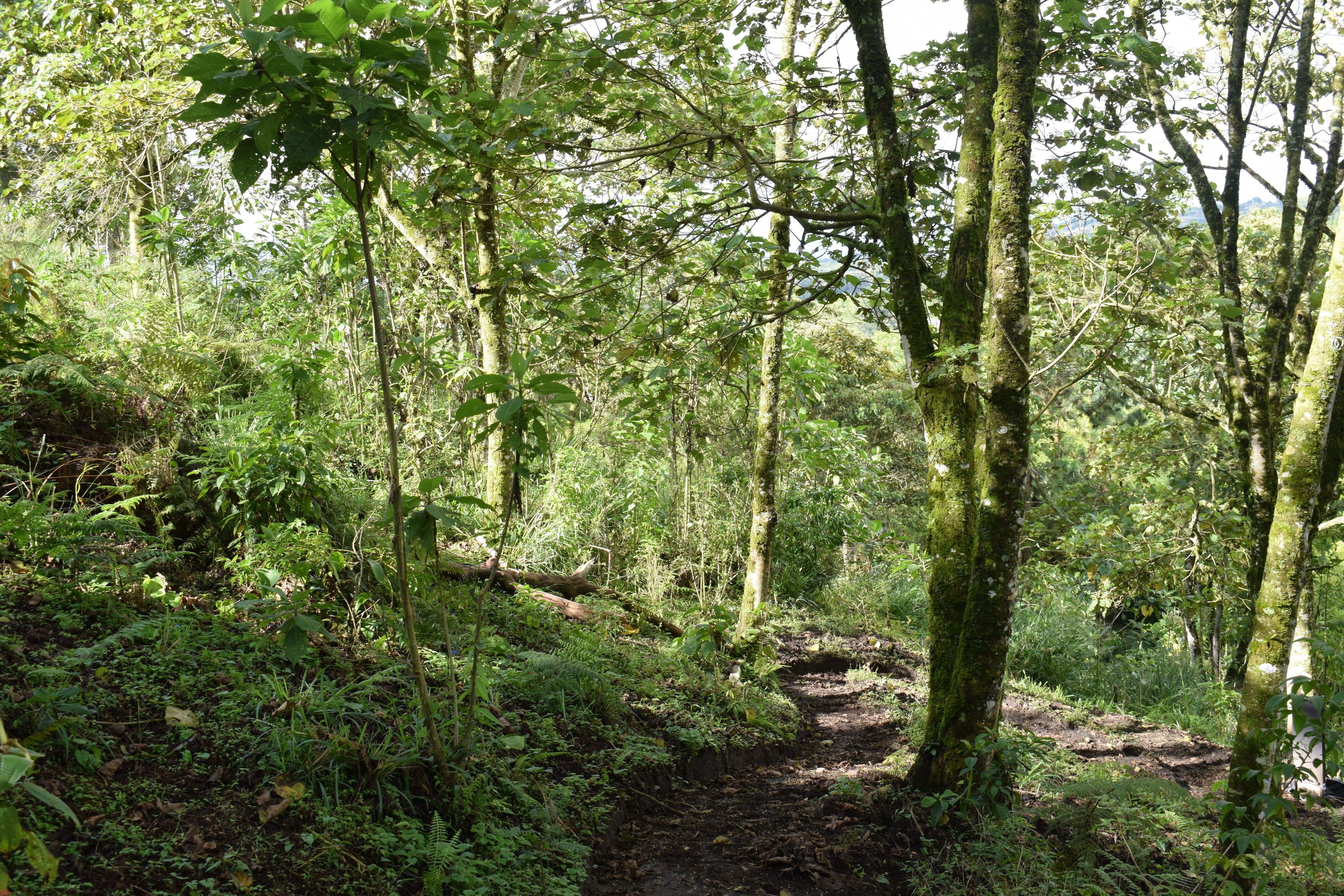 Photo - Bio Habitat Hotel, AKEN SOUL Collection