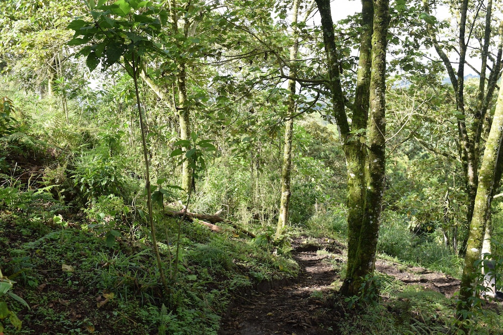 Bio Habitat Hotel, Aken Soul Collection. by null