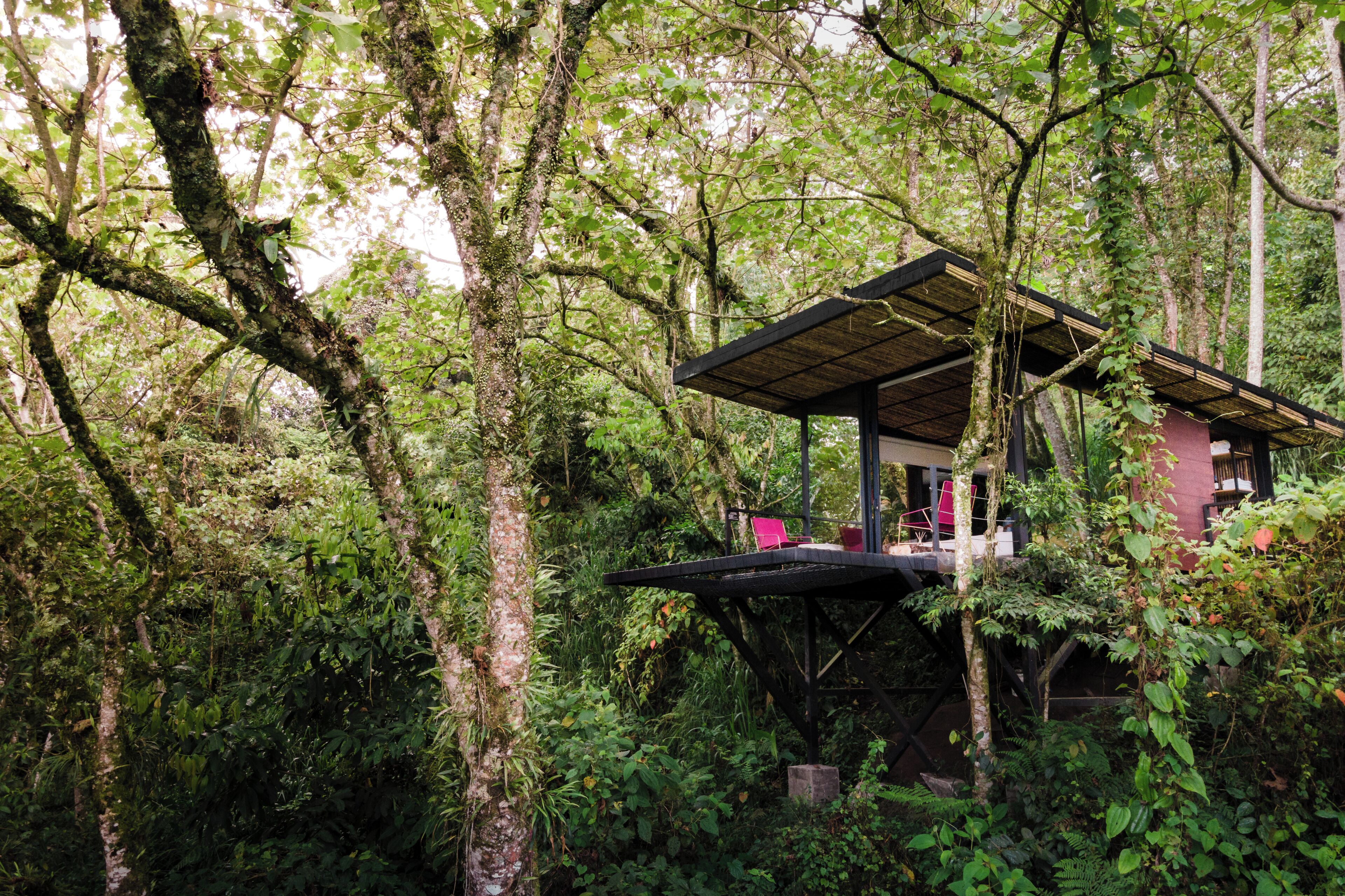 Une cabane perchée dans un arbre, dotée d’une terrasse en bois et d’un espace salon couvert, le tout entouré d’une forêt dense.