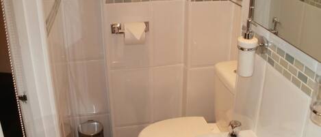 A bathroom with a toilet, sink, and shower area.