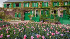 A building with green shutters and ivy-covered walls, surrounded by a garden with pink and blue flowers. - ibis budget Mantes-la-Jolie Sully (Mantes-la-Jolie)