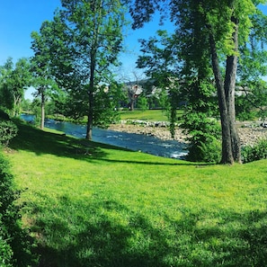 Condo, Plusieurs lits (Bear Crossing 102) | Terrain de l’hébergement 