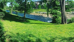 Une zone herbeuse avec une rivière, des arbres et un mur de pierre.