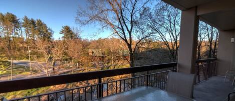 Apartment, Mehrere Betten (Cedar Lodge 201) | Blick vom Balkon