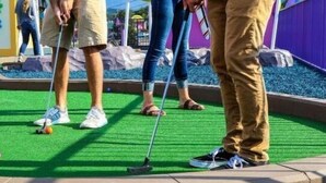 Een minigolfbaan met kunstgras, een putting green en een stenen rand.