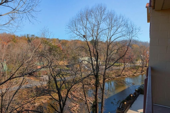 Condo, Multiple Beds (Cedar Lodge 503) | View from property